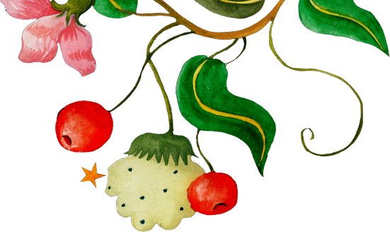 Register Interest - Register Interest (551x328)