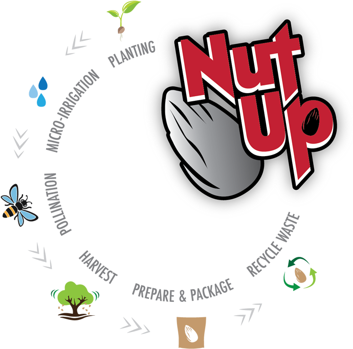 Planting Nut Up Maintains Over 3,000 Acres Of Almond - Insect (700x686)