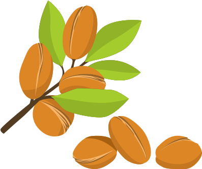 Argan Oil - Illustration (500x500)