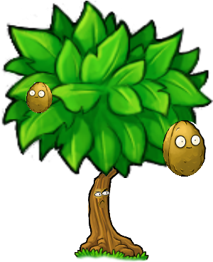 Wall Tough Tree Nuts Clipart - Tree Nut Allergy (343x399)