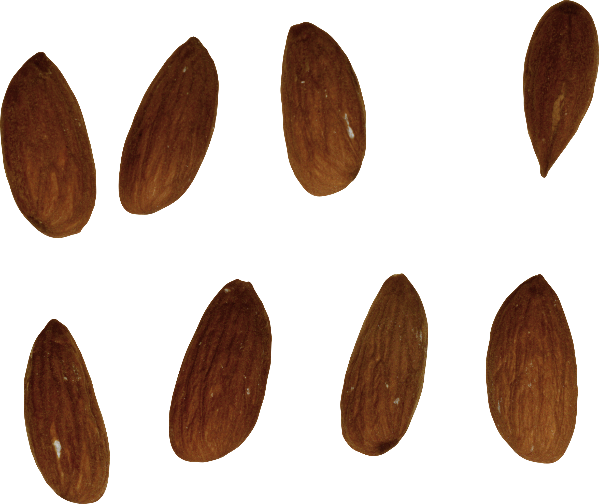 Almond Png - Almond (2354x1980)