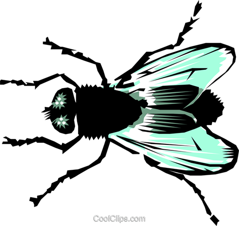 House Fly - Vector Graphics (480x454)