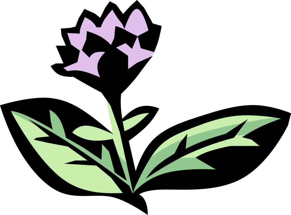 Vector Illustration Of Oregano Aromatic Herb Spice - Vector Illustration Of Oregano Aromatic Herb Spice (948x700)