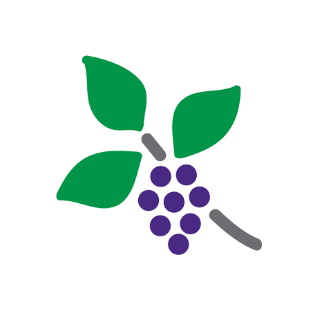 Grapes-circle - “ - Circle (500x500)