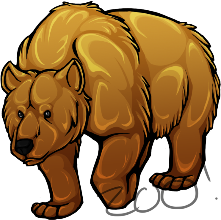 A bear can go