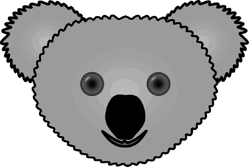 Full Size Of Drawing - Animals Face Pictures Clipart (800x537)