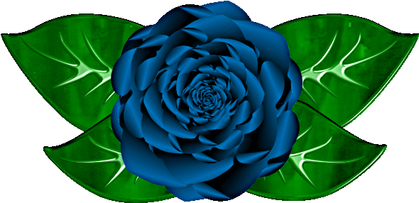 Animated Blue Roses - Garden Roses (618x311)