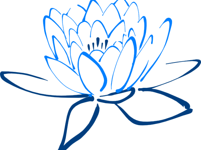 Blue Rose Clipart Blue Lotus - Spa Clipart (640x480)