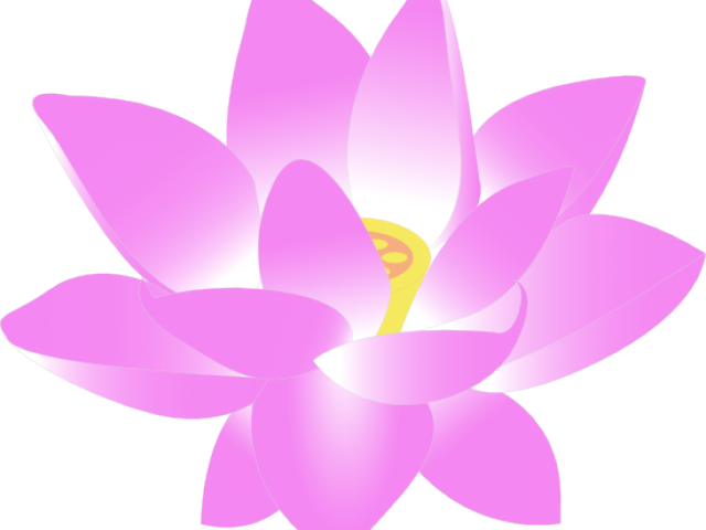 Blue Rose Clipart Blue Lotus - Hindi Alphabets (640x480)