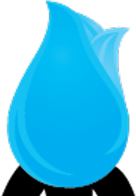 Blue Rose Promotions - Vase (400x400)