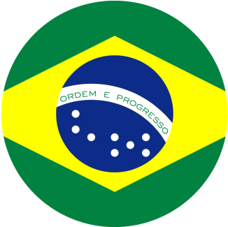 Brazil Static Cling - Brazil Flag Bandeira Brasileira Brasil Money Box (350x350)