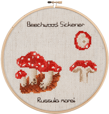 Mushrooms - Cross-stitch (375x375)