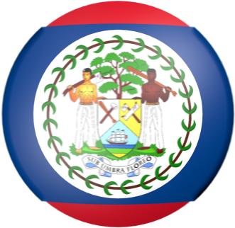 Having Failed To Win Any Of Their Last Two Matches, - Belize Flag (450x450)