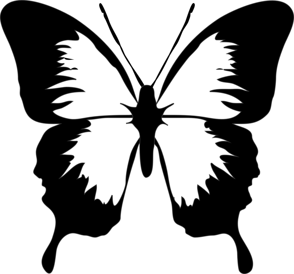 Butterfly Black And White Clip Art Black And White - Black And White Butterfly (1024x954)