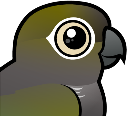 About The Burrowing Parakeet - Blue Throated Macaw Cartoon Clip (440x440)