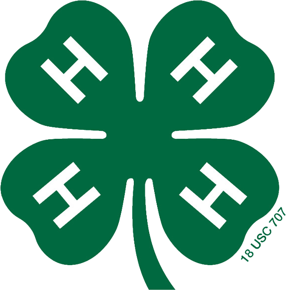 Clover - Official 4 H Logo (575x583)