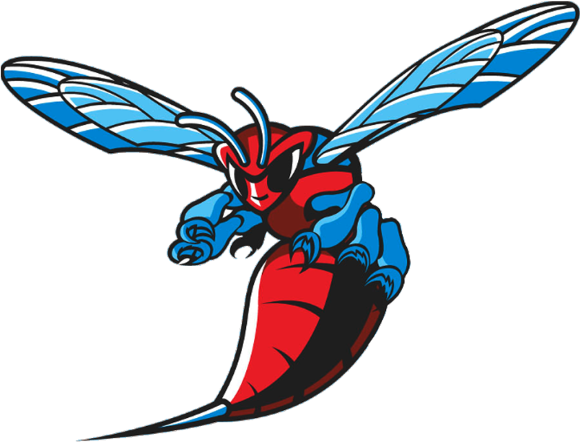 The Hornets Place Third In The Dsu Farm Run - Delaware State University Hornets Logo (1024x768)