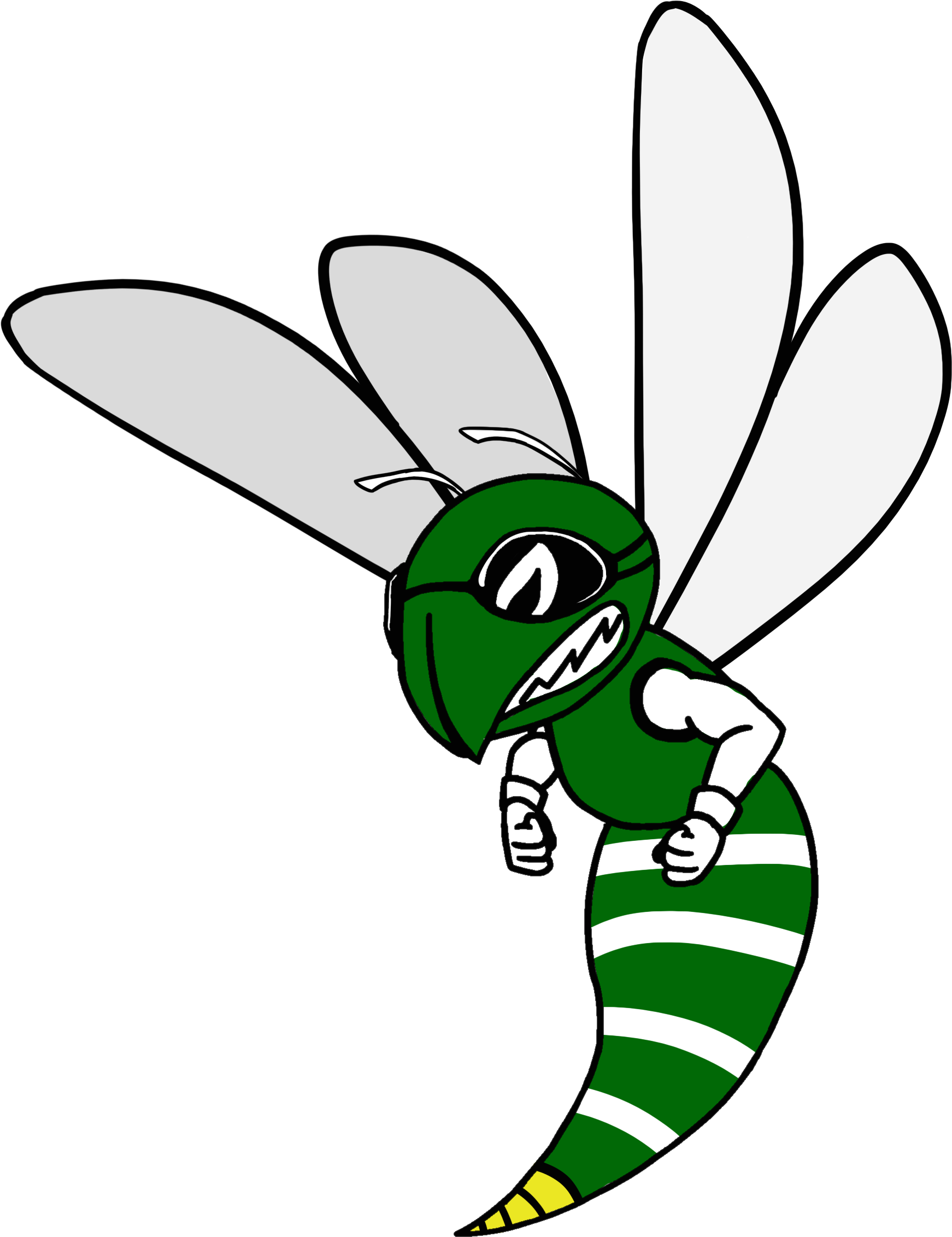 Support Our Teams - Net-winged Insects (2550x3300)
