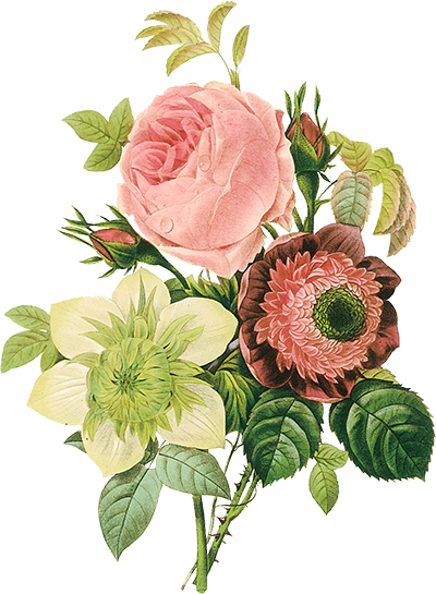 Tubes Victoriens / Fleurs - Shabby Chic Vintage Flowers (400x545)