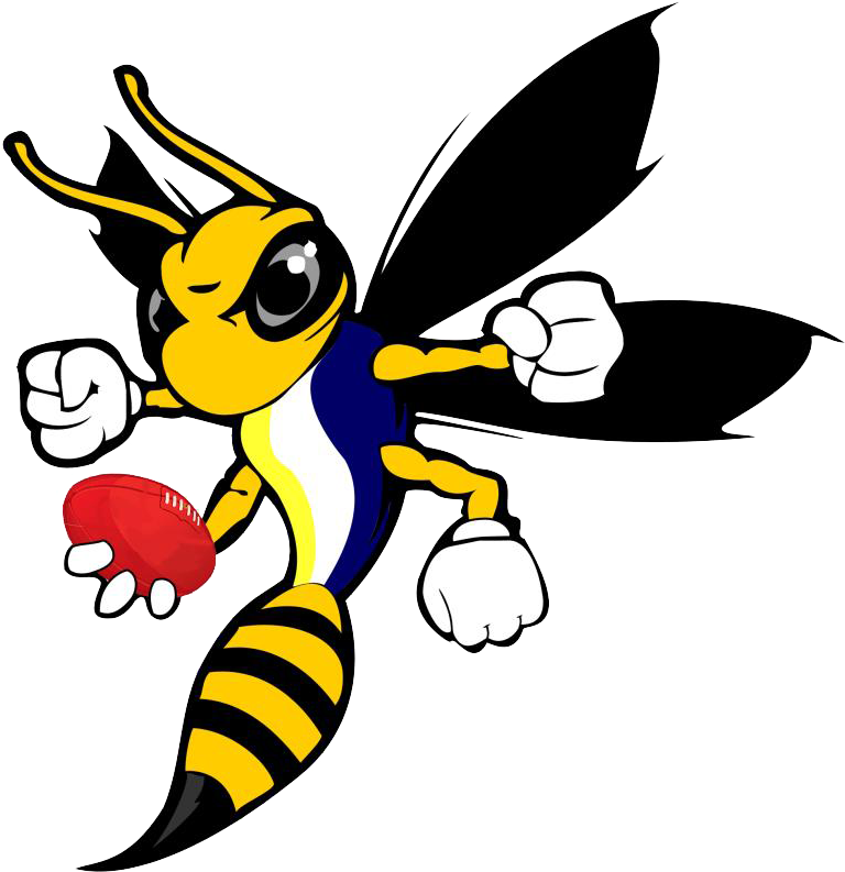 San José Hornets - Cartoon Hornet (775x805)
