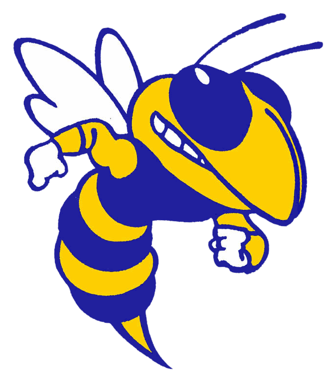 Kearsley Hornets - Kearsley Hornets (736x791)