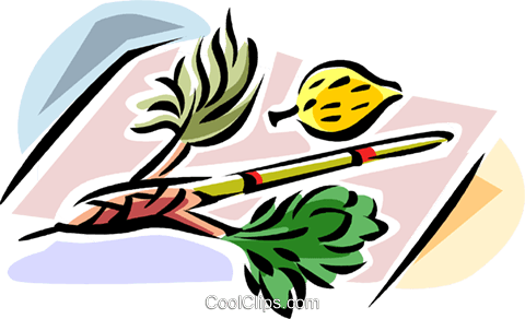Sukkot Arbaat Haminim Royalty Free Vector Clip Art - Clip Art (480x292)