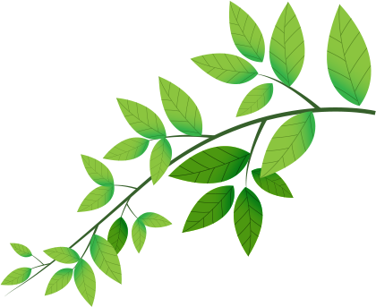 No Products In The Basket - Shepreth Wildlife Park (420x343)