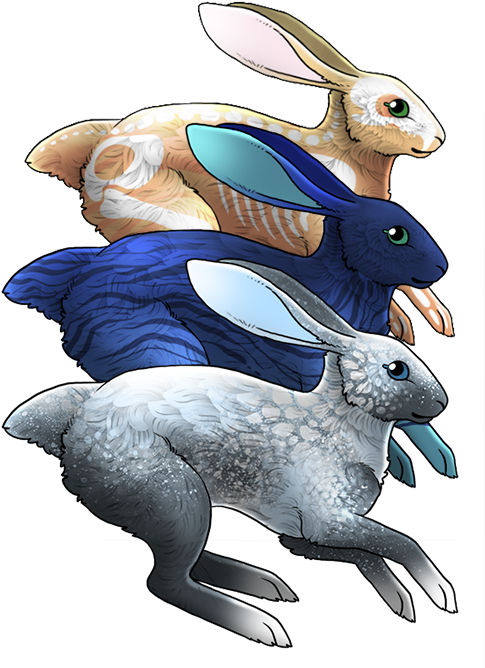 A New Pet Species Has Arrived That's Right, Rabbits - Rabbit (500x686)