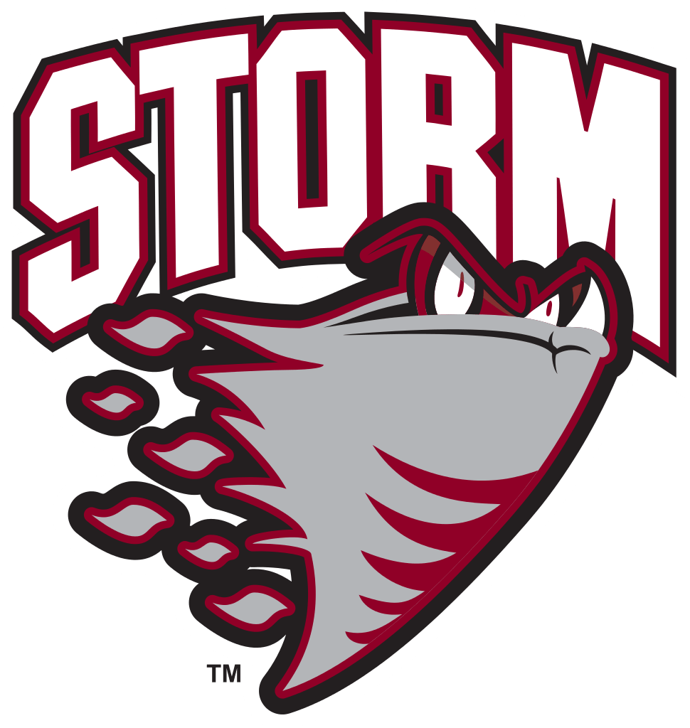 Download - Guelph Storm Hockey Logo (1200x1266)