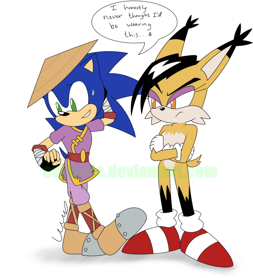 Sonic/conquering Storm Clothes Swap By Evillexie On - Espio X Conquering Storm (870x918)
