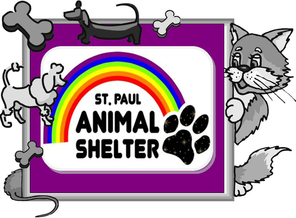 Paul Animal Shelter Looking For Volunteers - Volunteering (1161x855)