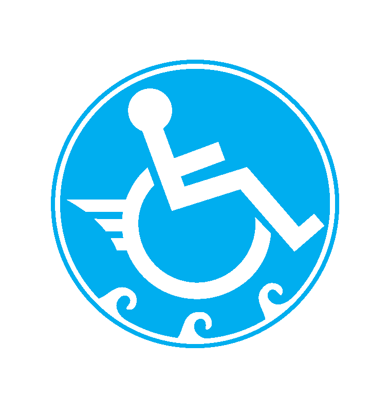 Beach Power Mobillity - Disability (757x809)