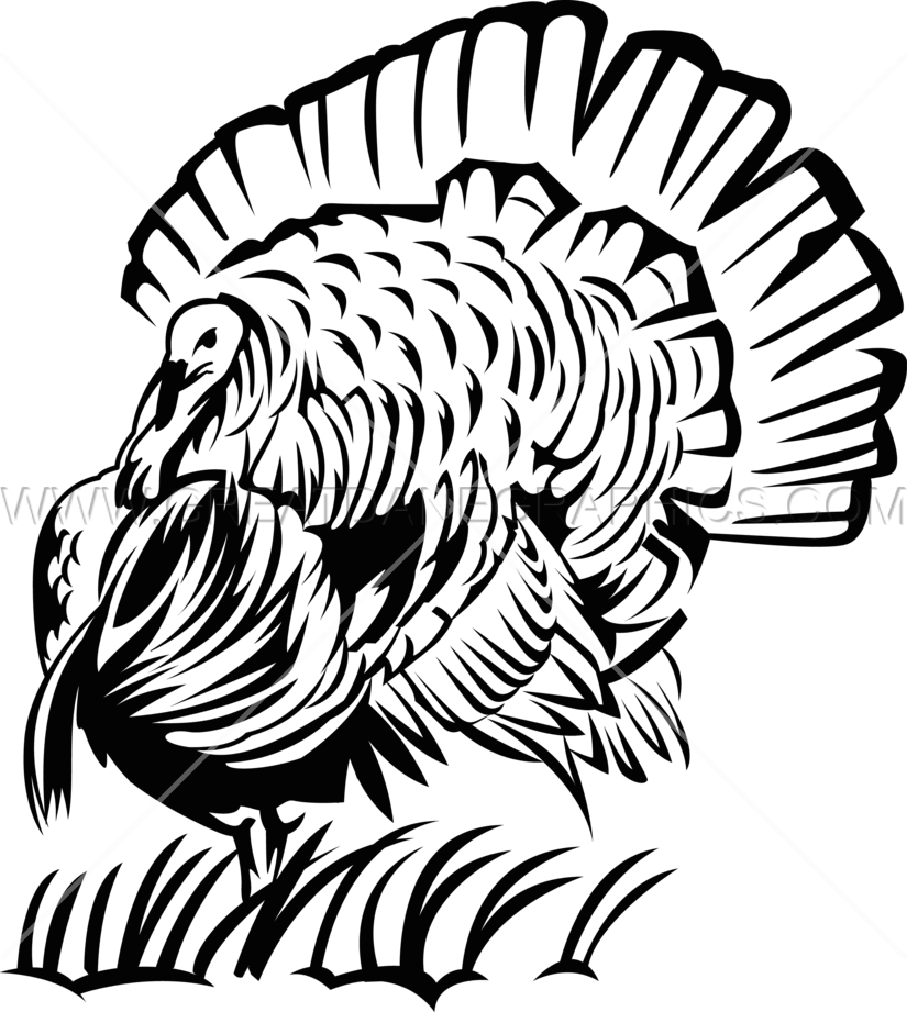 Big Turkey - Turkey Line Art (825x921)