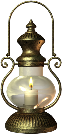 Album - Fairy Lantern Png (474x800)