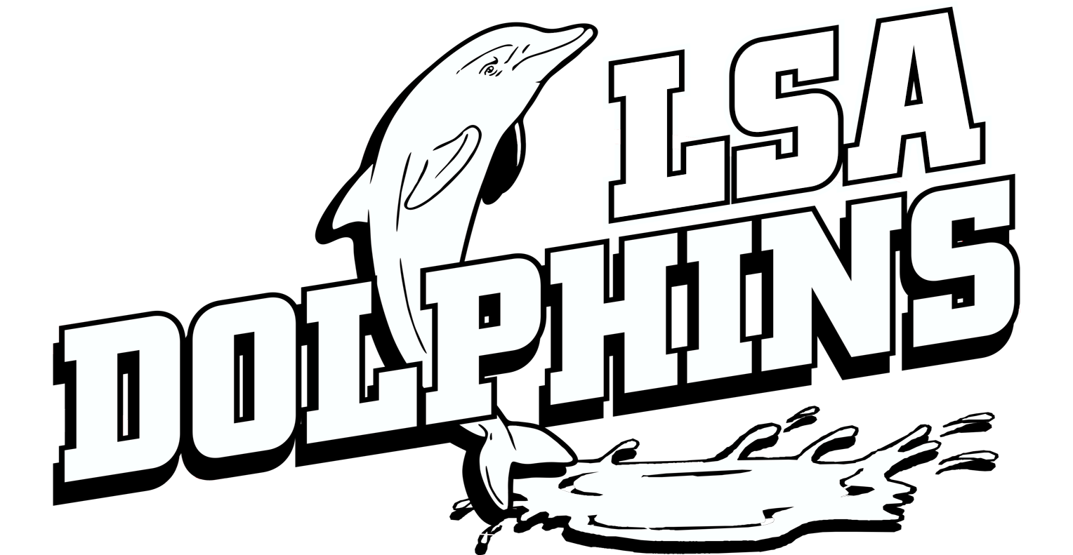 Feel Free To Contact Us If You Are Interested In Signing - Short-beaked Common Dolphin (1600x965)