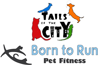 Pet Sitting And Dog Walking Services Provided To Montgomery, - Baltimore County, Maryland (577x325)