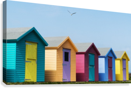 Colourful Buildings In A Row With Boarded Up Windows - Colourful Buildings In A Row With Boarded Up Windows (429x289)