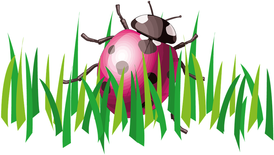 Grass Clipart Ladybug - Illustration (960x577)