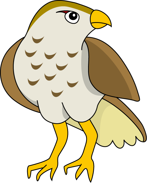 Hawk Clip Art - Clip Art (514x637)