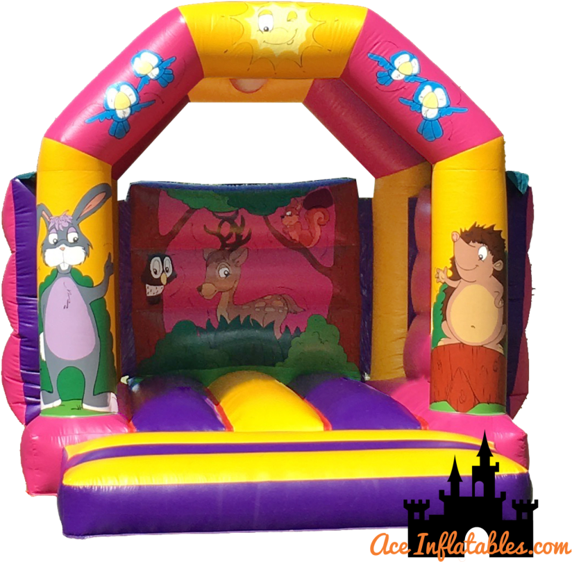 Why Ace Inflatables - Castle (900x900)