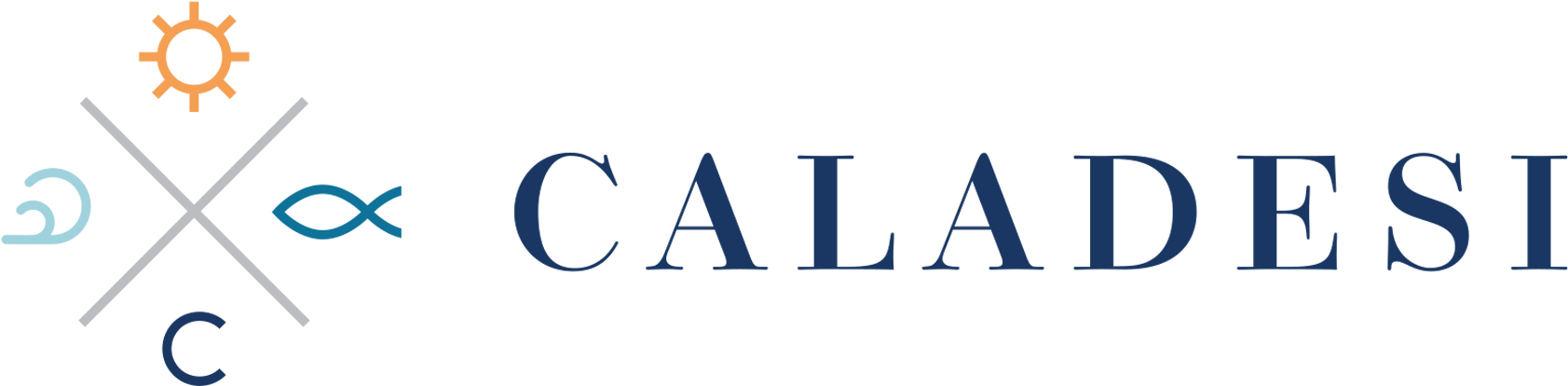 Caladesi - It - Electric Blue (1700x550)