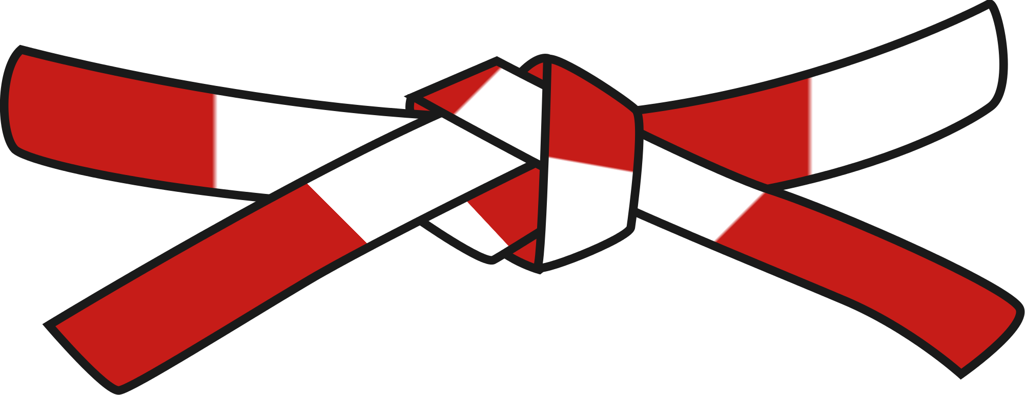 Open - Brazilian Jiu-jitsu Ranking System (2000x772)