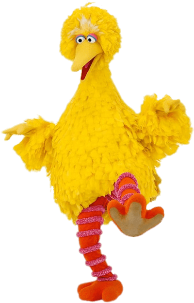 Sesame Street Big Bird On One Leg - Big Bird Sesame Street (477x636)