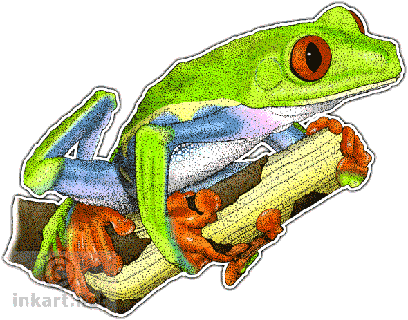 Green Frog Clipart Red Eyed Tree Frog - Red Eyed Tree Frog Mug (590x463)