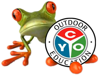 Outdoor Education - Green Frog (400x300)