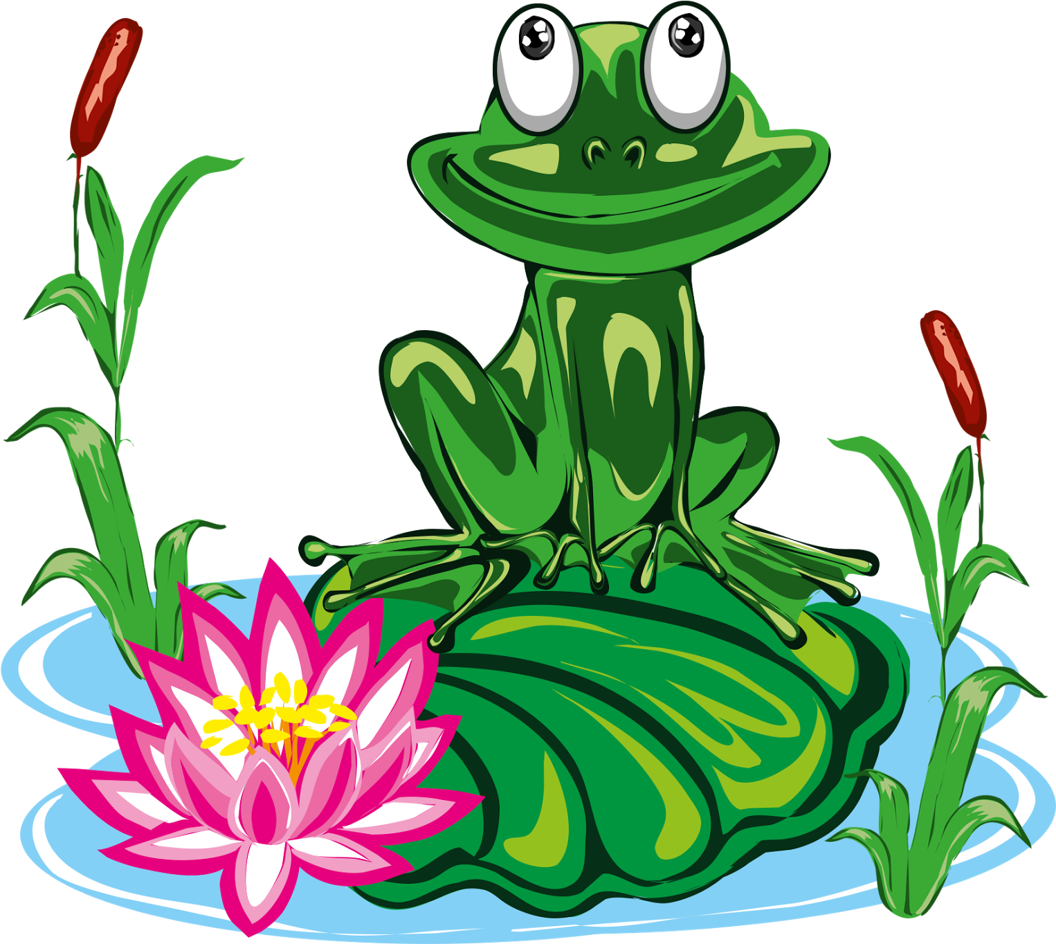 Tree Frog True Frog Toad Clip Art - True Frog (1600x1455)