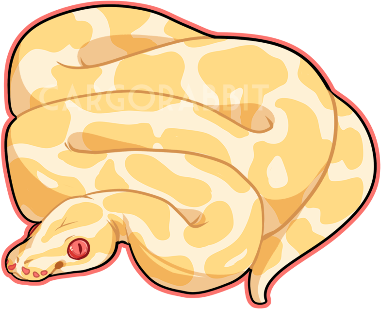 Ball Python Clipart Cute Cartoon - Ball Python Drawing - Full Size PNG ...