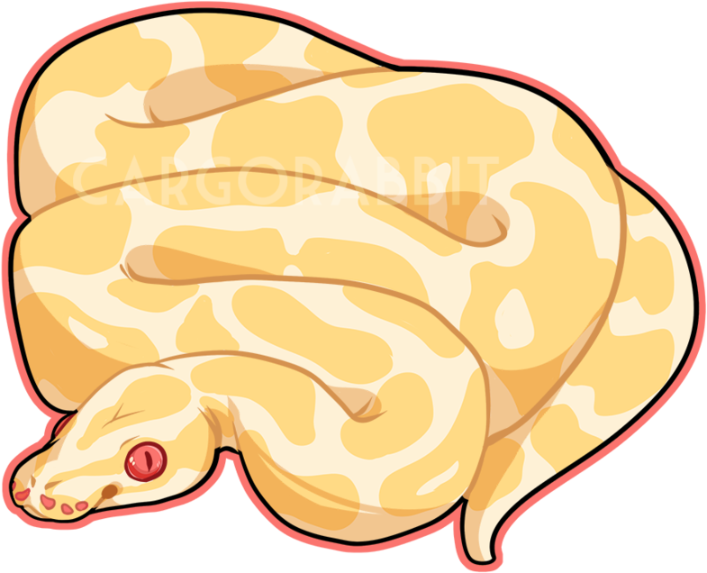 Ball Python Clipart Cute Cartoon - Ball Python Drawing (894x894)
