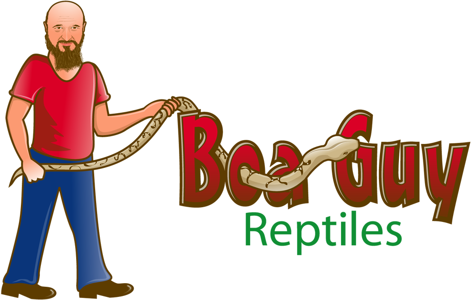 Boa Guy Reptiles - Bank Of America (1000x664)