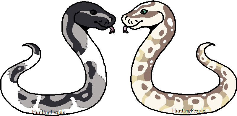 Gay Sneks By Huntingpeople - Gay (842x414)